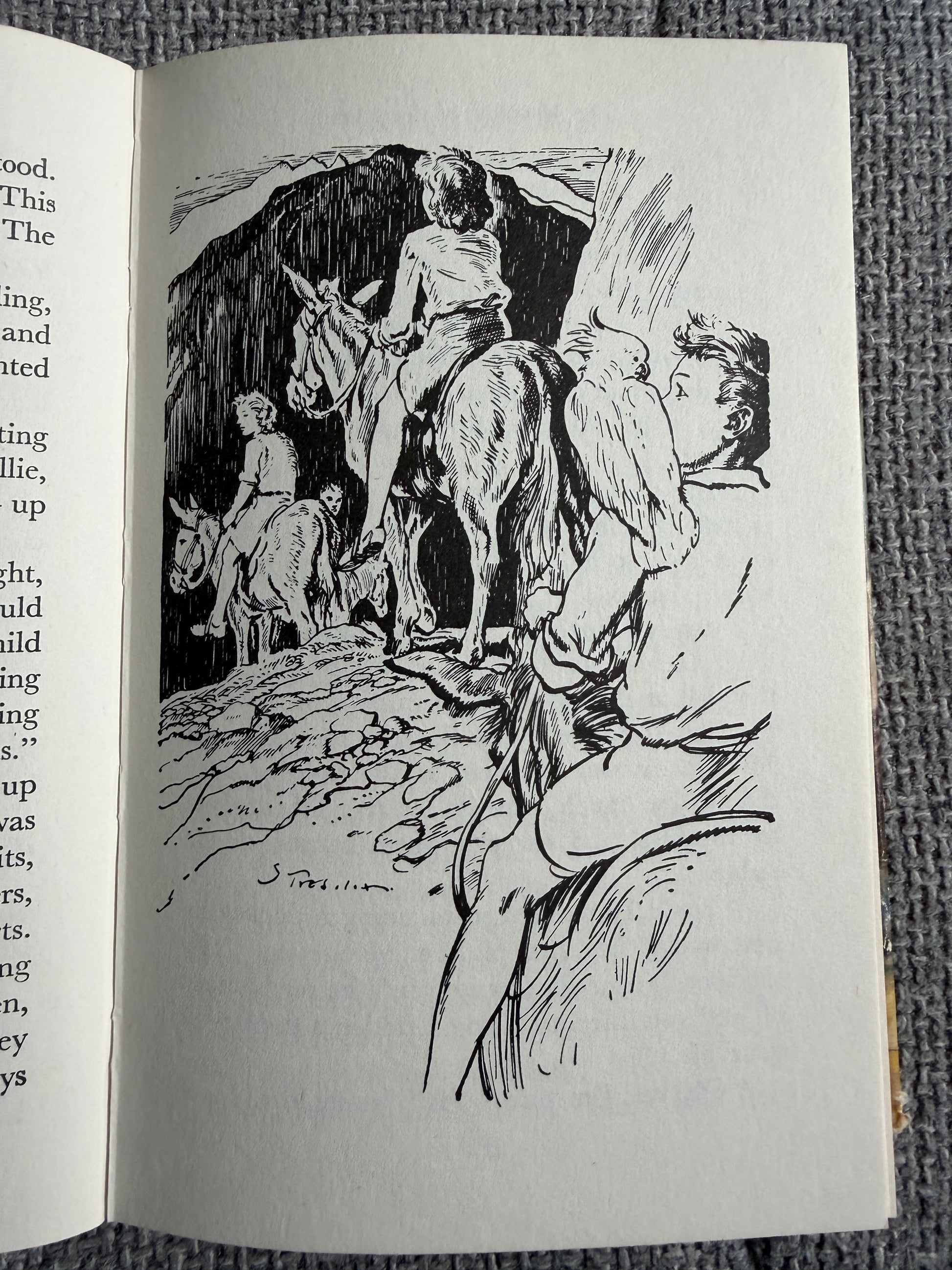 1974 The Mountain Of Adventure - Enid Blyton (Stuart Tresilian illust) MacMillan - Honeyburn Books (UK)