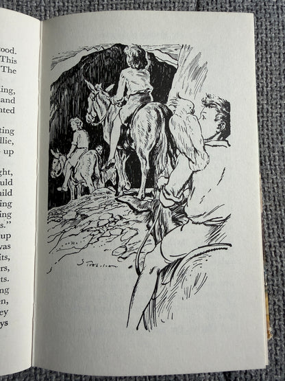 1974 The Mountain Of Adventure - Enid Blyton (Stuart Tresilian illust) MacMillan - Honeyburn Books (UK)