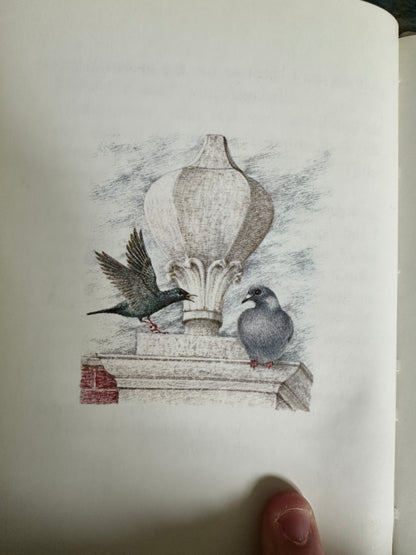 1983 The Tale Of The Faithful Dove - Beatrix Potter(Marie Angel Illust) Frederick Warne & Co Ltd)