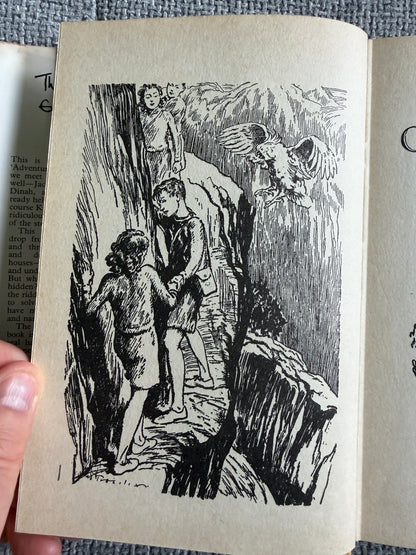 1974 The Valley Of Adventure - Enid Blyton (Stuart Tresilian illust) MacMillan - Honeyburn Books (UK)