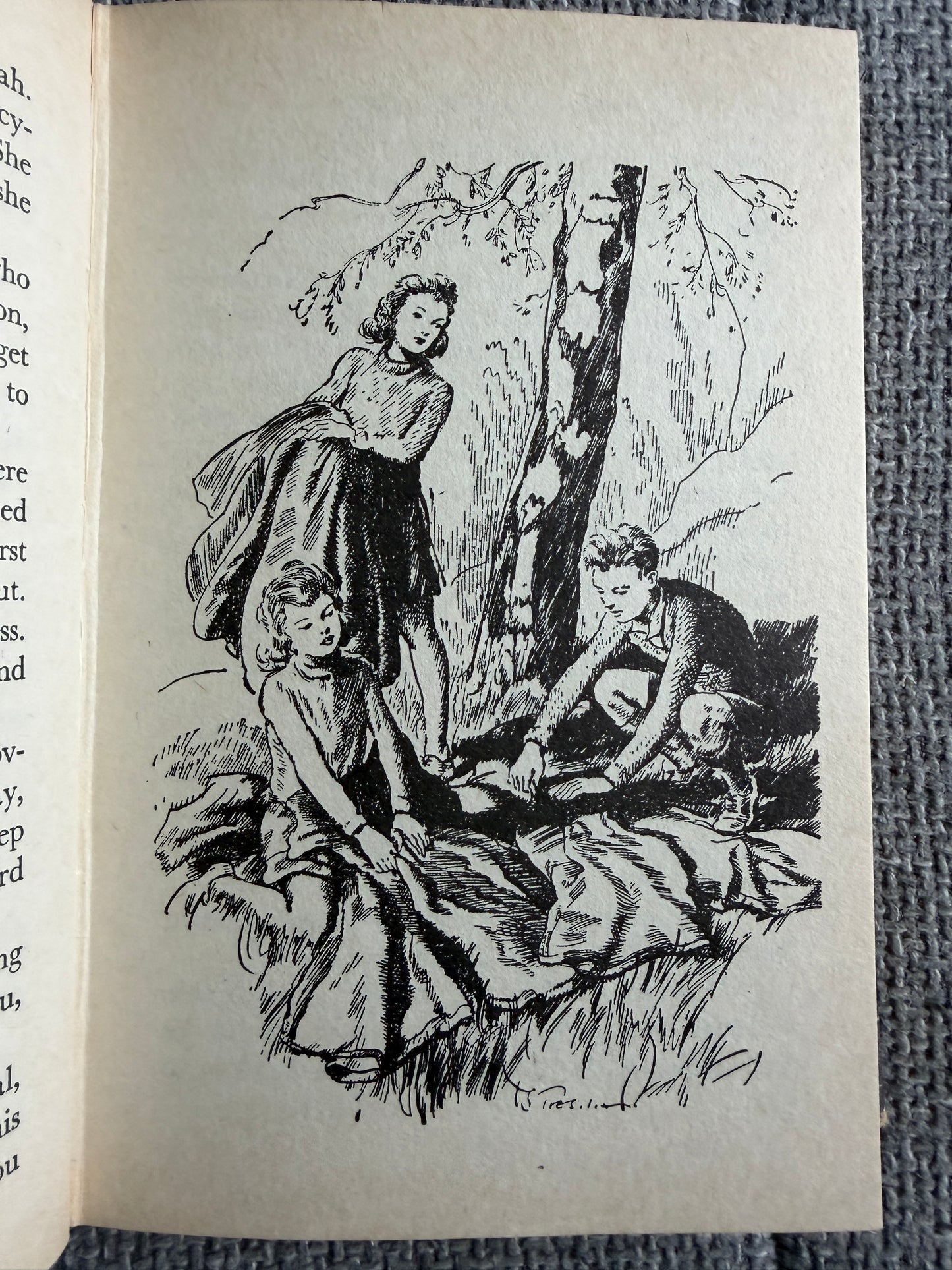 1974 The Valley Of Adventure - Enid Blyton (Stuart Tresilian illust) MacMillan - Honeyburn Books (UK)