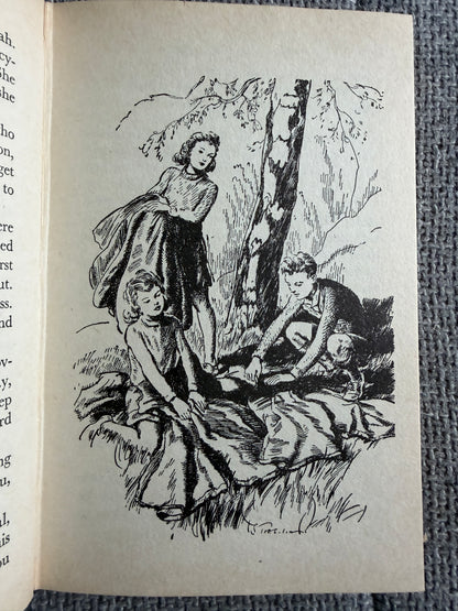 1974 The Valley Of Adventure - Enid Blyton (Stuart Tresilian illust) MacMillan - Honeyburn Books (UK)