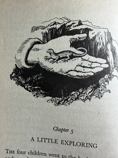 1974 The Valley Of Adventure - Enid Blyton (Stuart Tresilian illust) MacMillan - Honeyburn Books (UK)