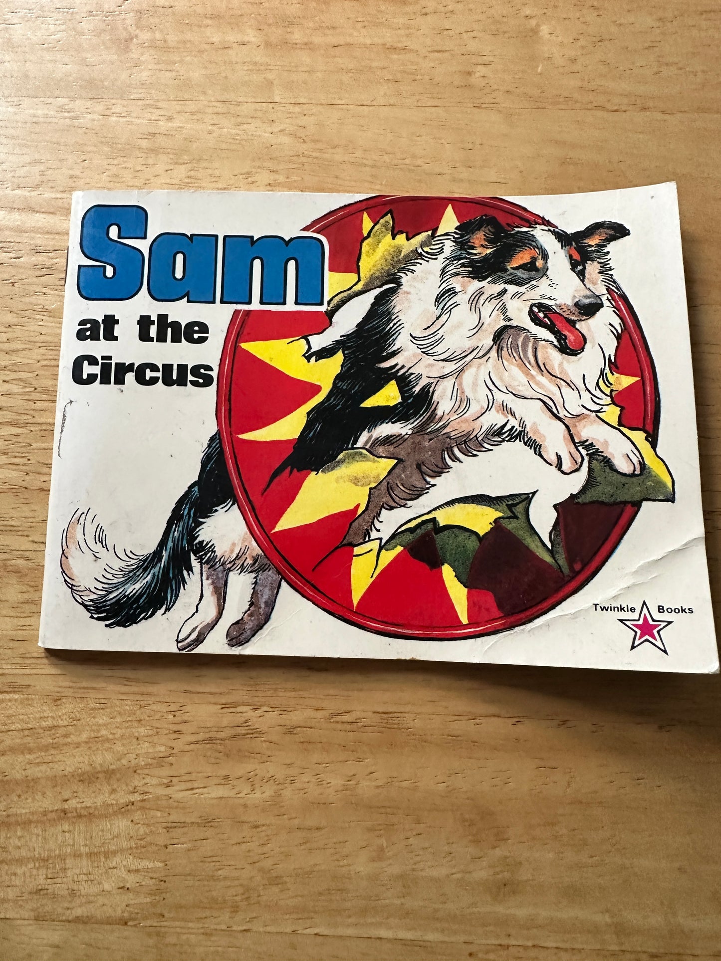 1980*1st* Sam At The Circus(Twinkle Books)D. C. Thomson