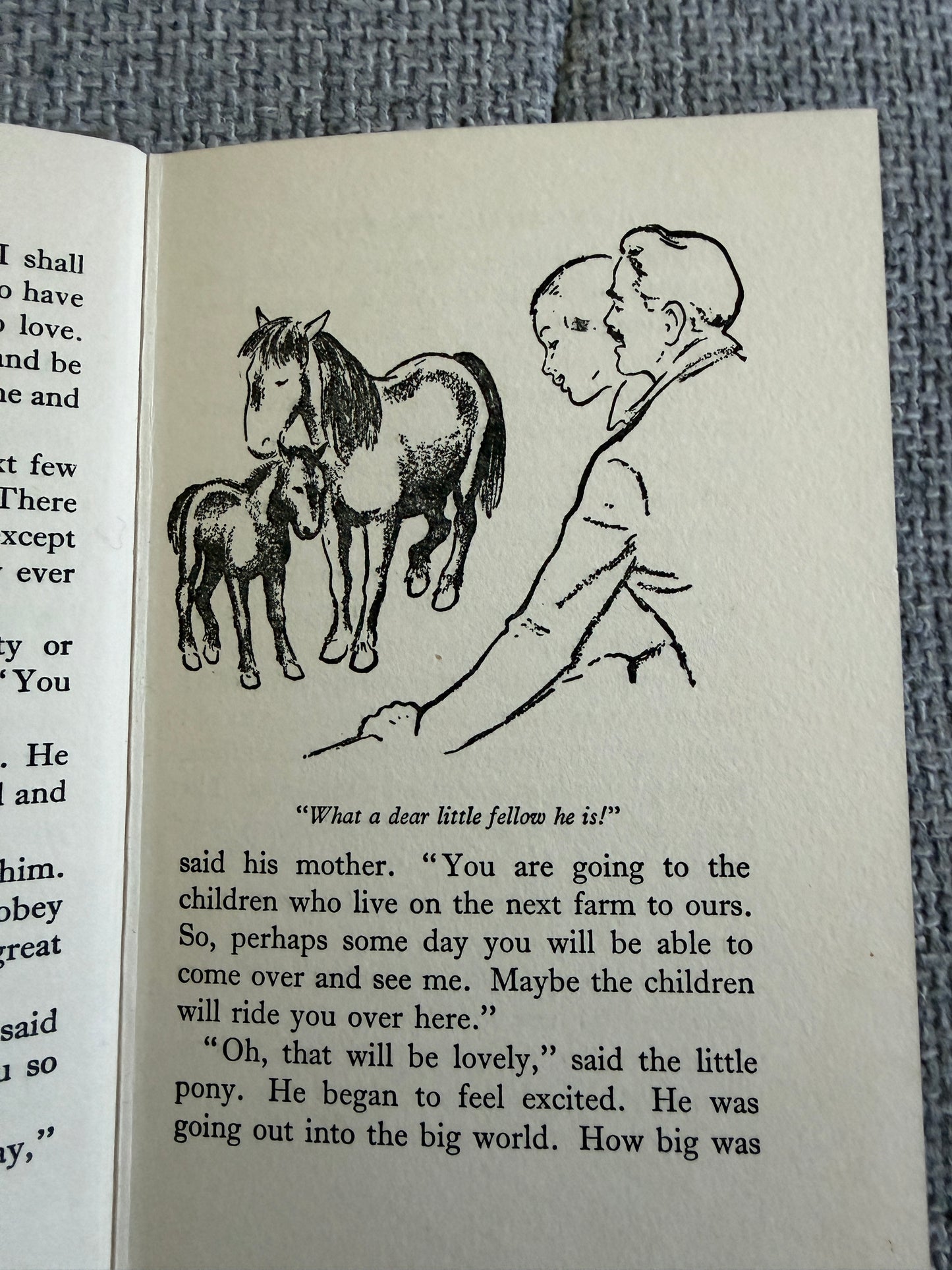 1959 Snowball The Pony - Enid Blyton (Iris Gillespie illust) Lutterworth Press - Honeyburn Books (UK)