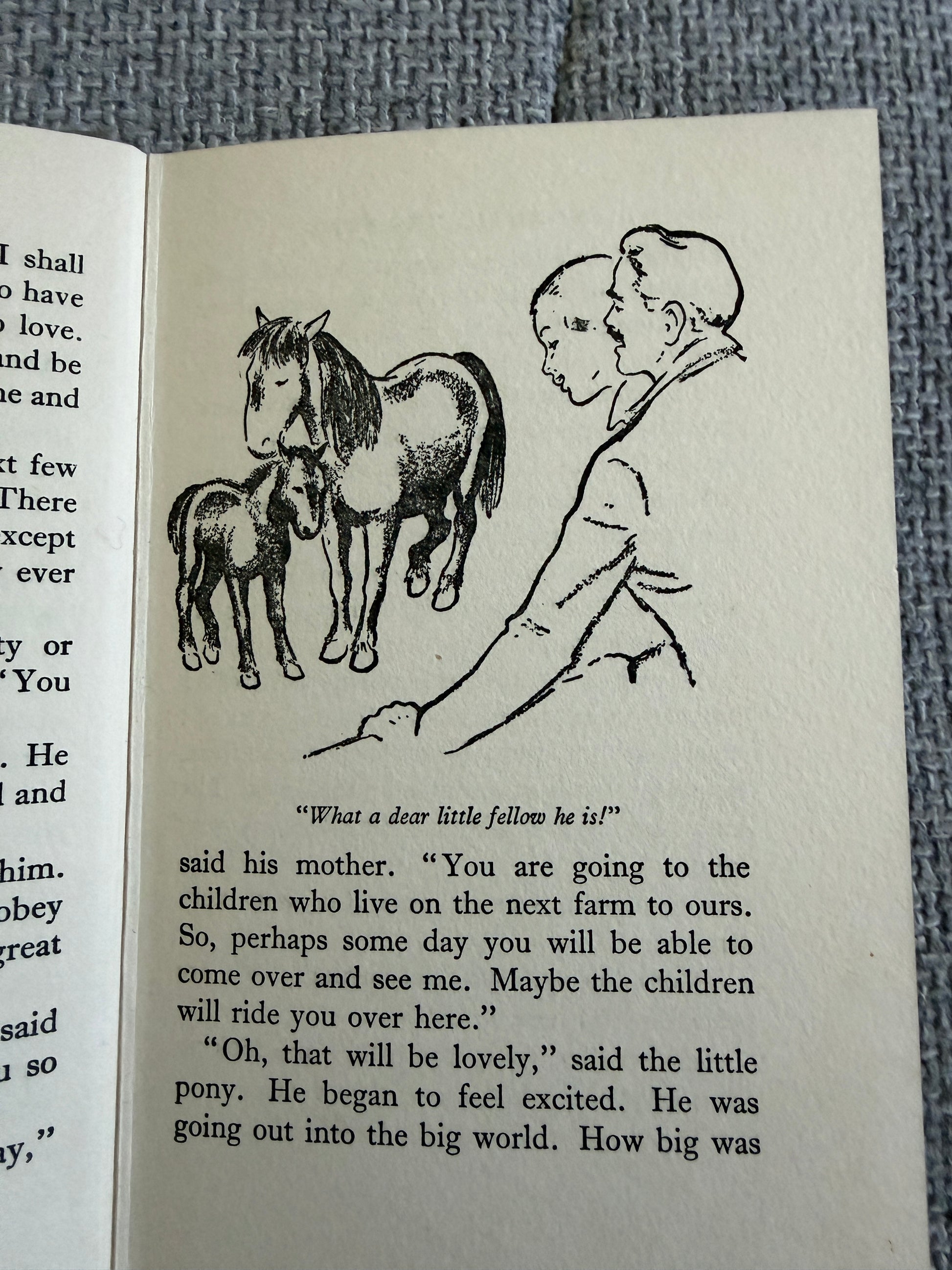 1959 Snowball The Pony - Enid Blyton (Iris Gillespie illust) Lutterworth Press - Honeyburn Books (UK)