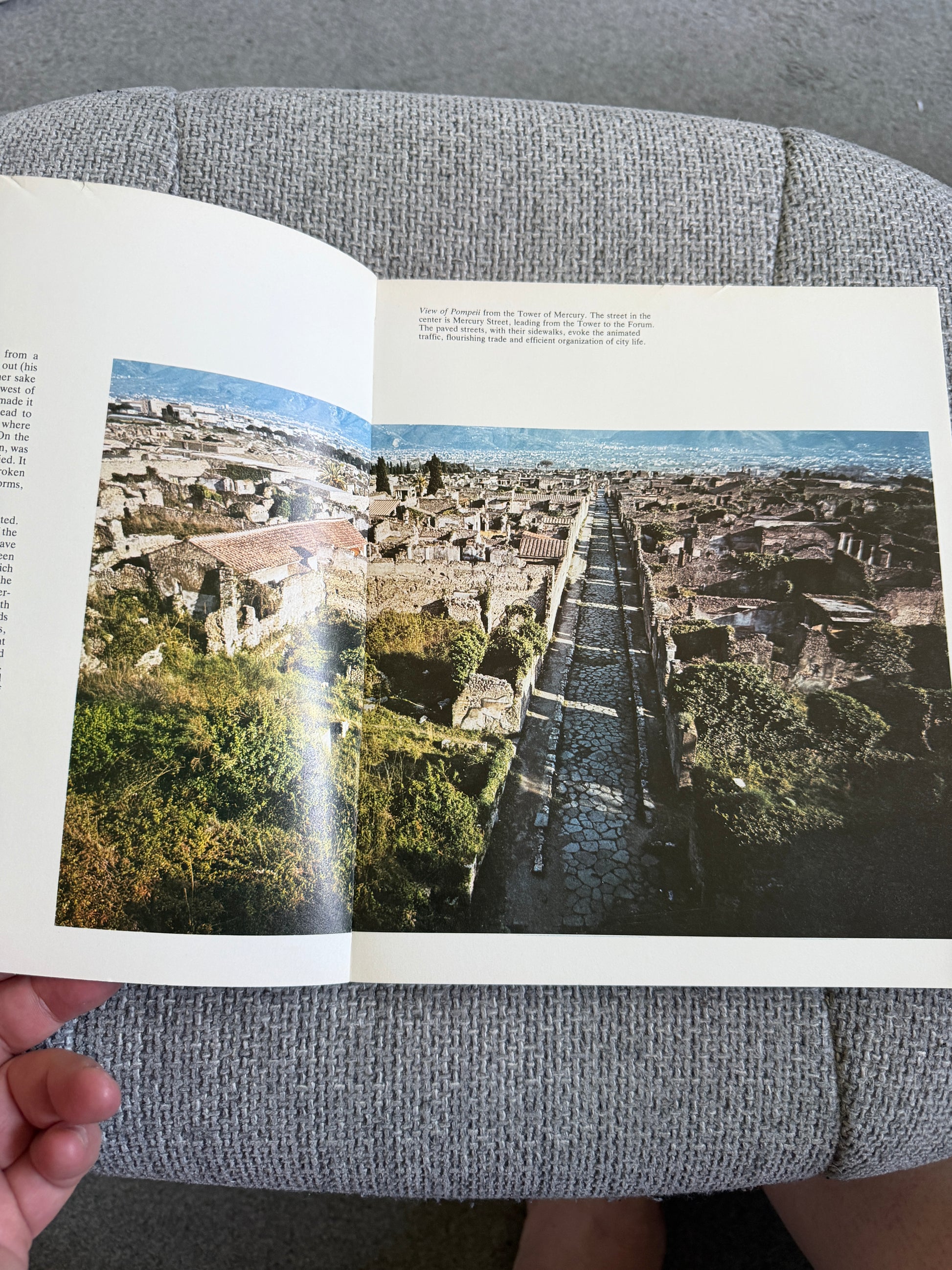 1979*1st* The Art & Life Of Pompeii & Herculaneum - Michael Grant (Newsweek Pub) - Honeyburn Books (UK)