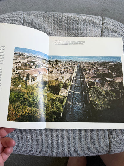 1979*1st* The Art & Life Of Pompeii & Herculaneum - Michael Grant (Newsweek Pub) - Honeyburn Books (UK)