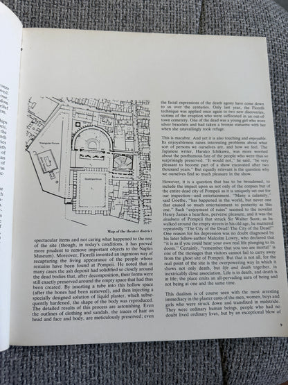 1979*1st* The Art & Life Of Pompeii & Herculaneum - Michael Grant (Newsweek Pub) - Honeyburn Books (UK)