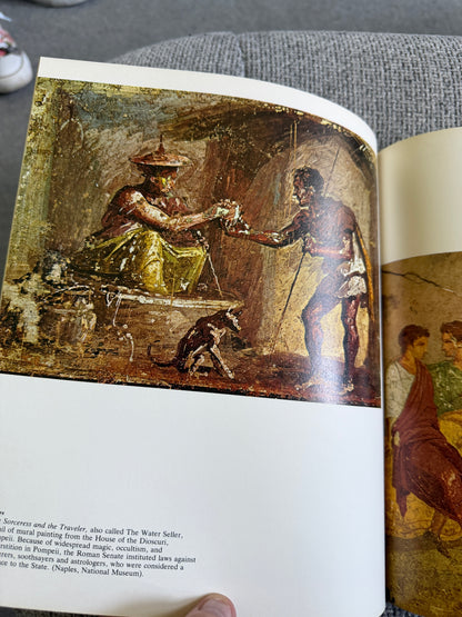 1979*1st* The Art & Life Of Pompeii & Herculaneum - Michael Grant (Newsweek Pub) - Honeyburn Books (UK)