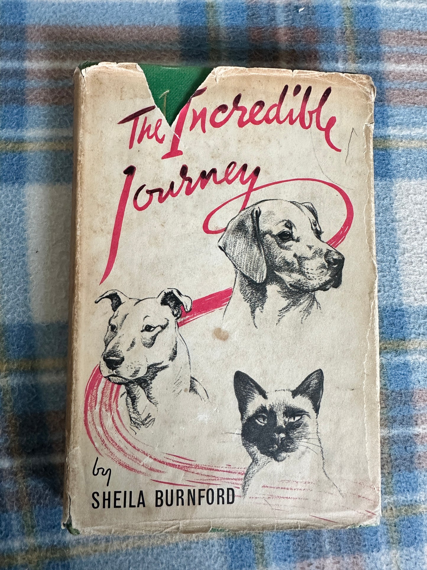 1962 The Incredible Journey - Sheila Burnford(Carl Burger Illust) Hodder & Stoughton