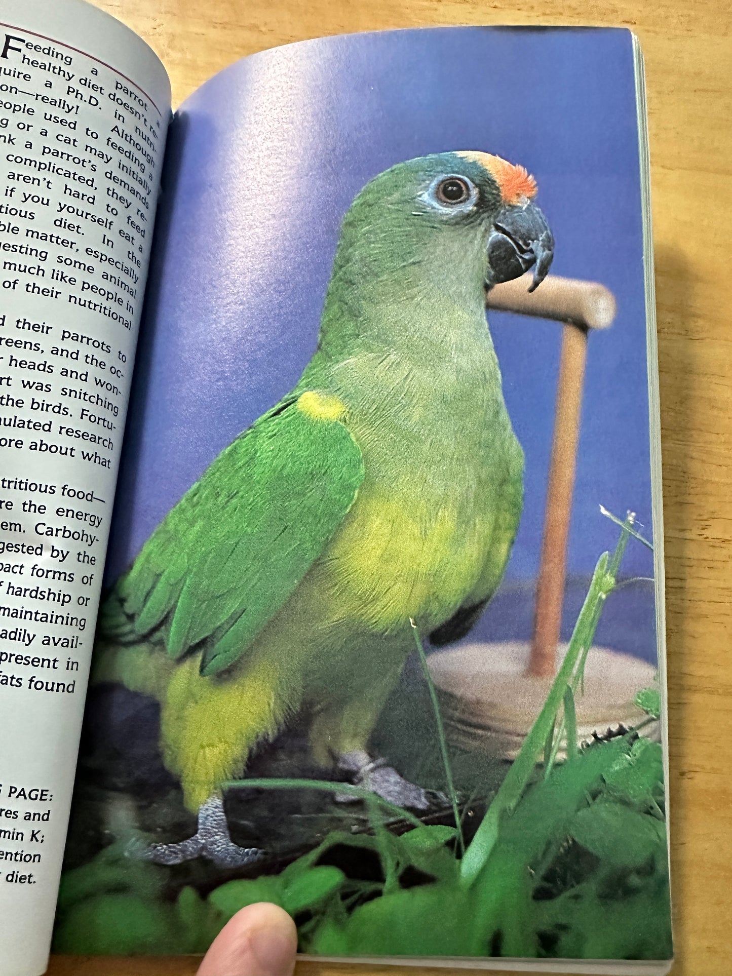 1988*1st* A Step By Step Book About Parrots - Elaine Radford(T. F. H. Publications)