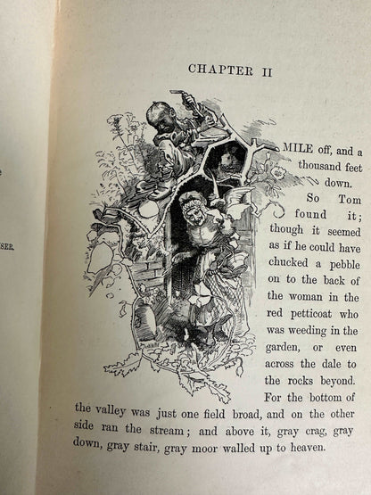 1890 Water Babies - Charles Kingsley(Illust Linley Sambourne)MacMillan & Co Ltd