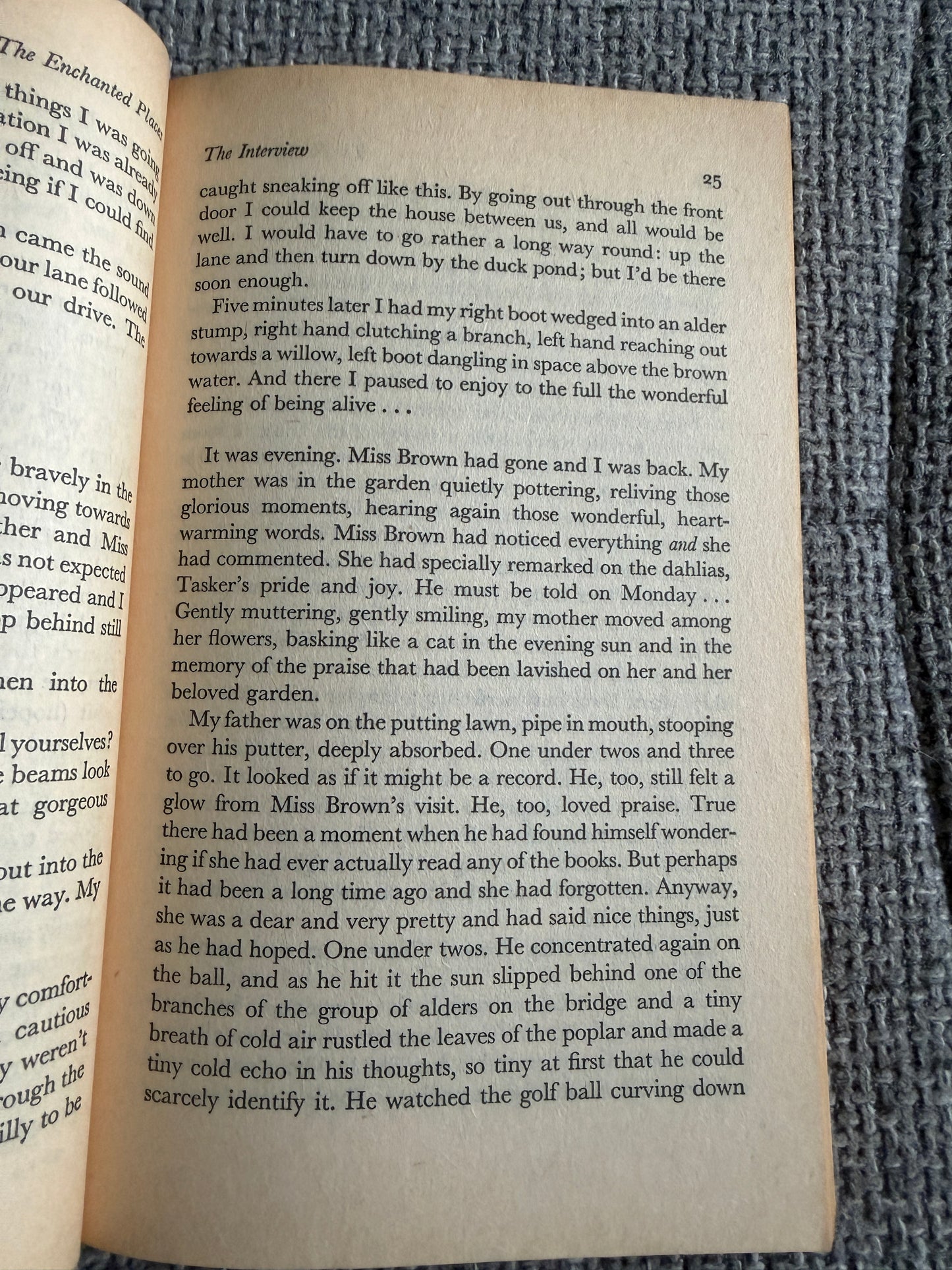 1976 The Enchanted Places - Christopher Milne aka Billy Moon (Penguin Books)