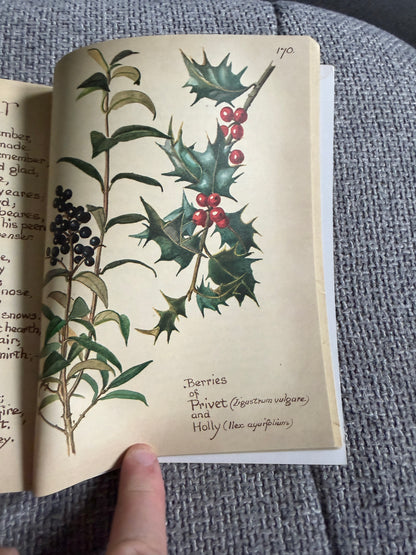 1985 The Country Diary Of An Edwardian Lady - Edith Holden (Sphere / Webb & Bower)