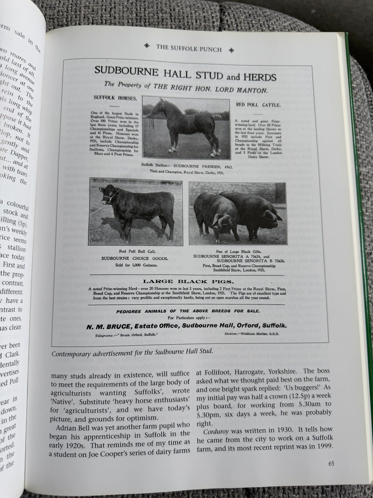 2007*1st* The Suffolk Punch An Illustrated History Of The Breed - Edward Hart (Halsgrove)