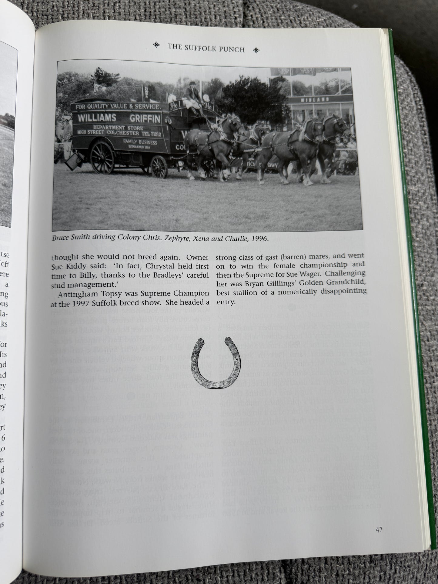 2007*1st* The Suffolk Punch An Illustrated History Of The Breed - Edward Hart (Halsgrove)