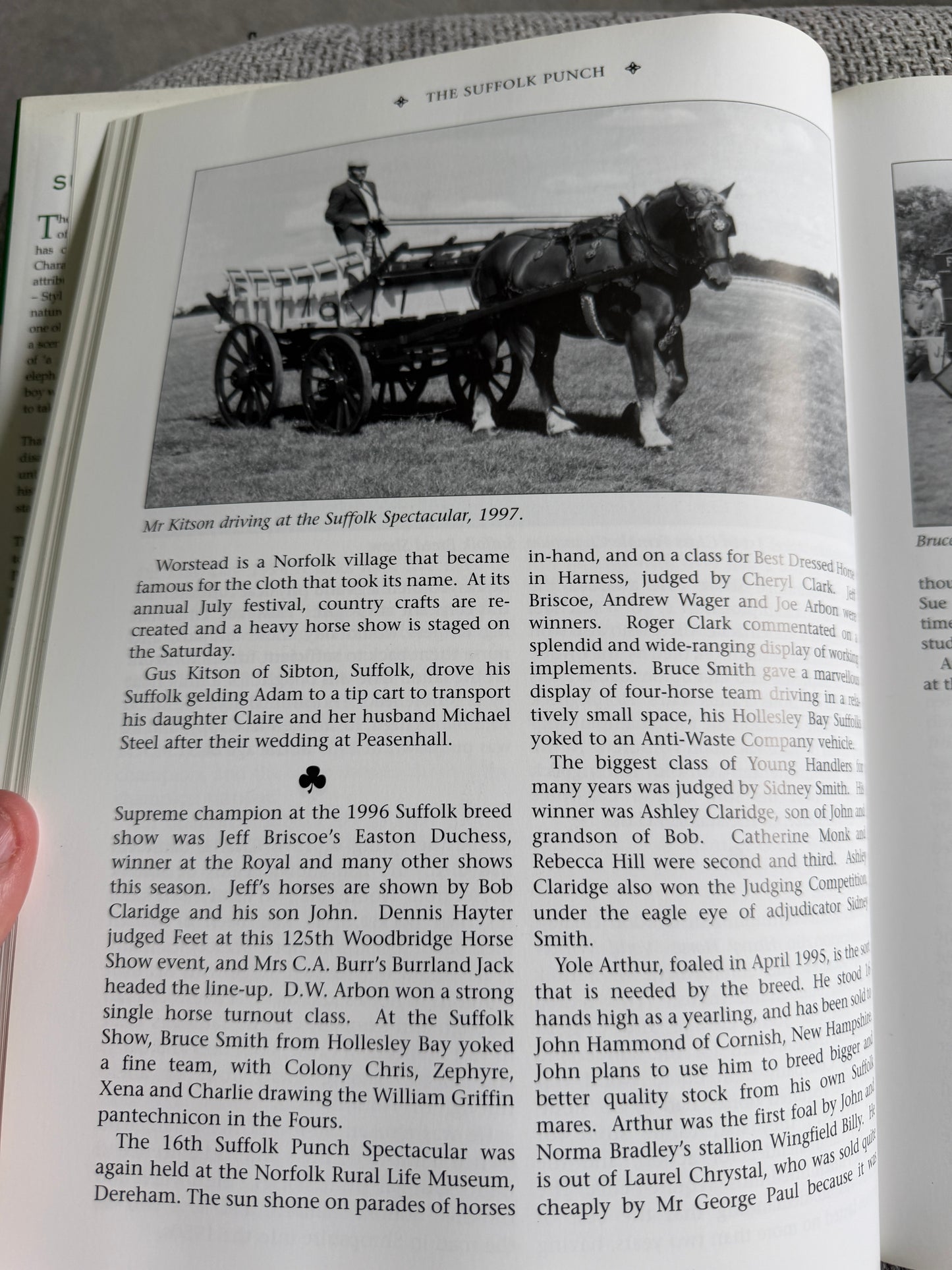 2007*1st* The Suffolk Punch An Illustrated History Of The Breed - Edward Hart (Halsgrove)