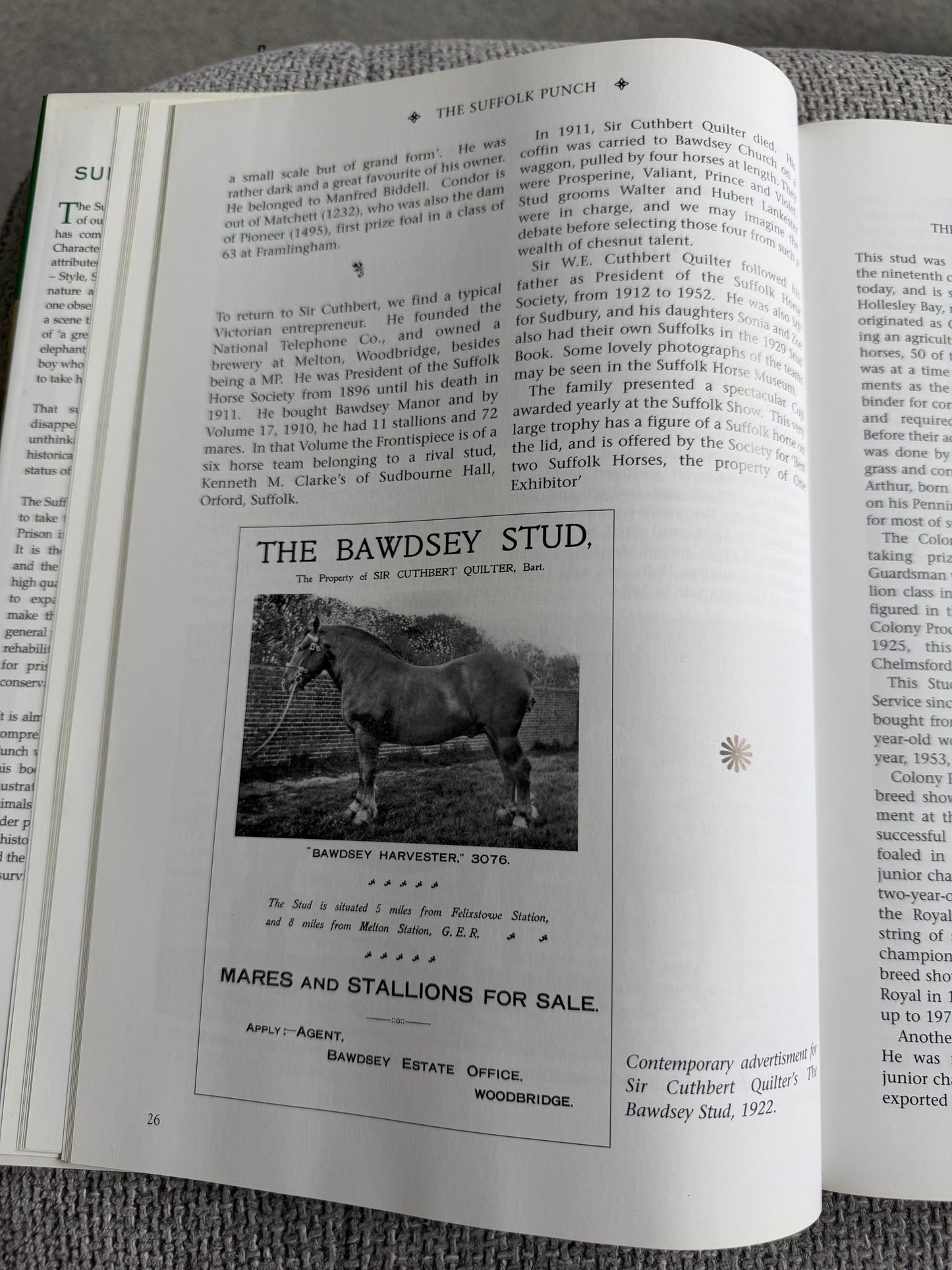 2007*1st* The Suffolk Punch An Illustrated History Of The Breed - Edward Hart (Halsgrove)