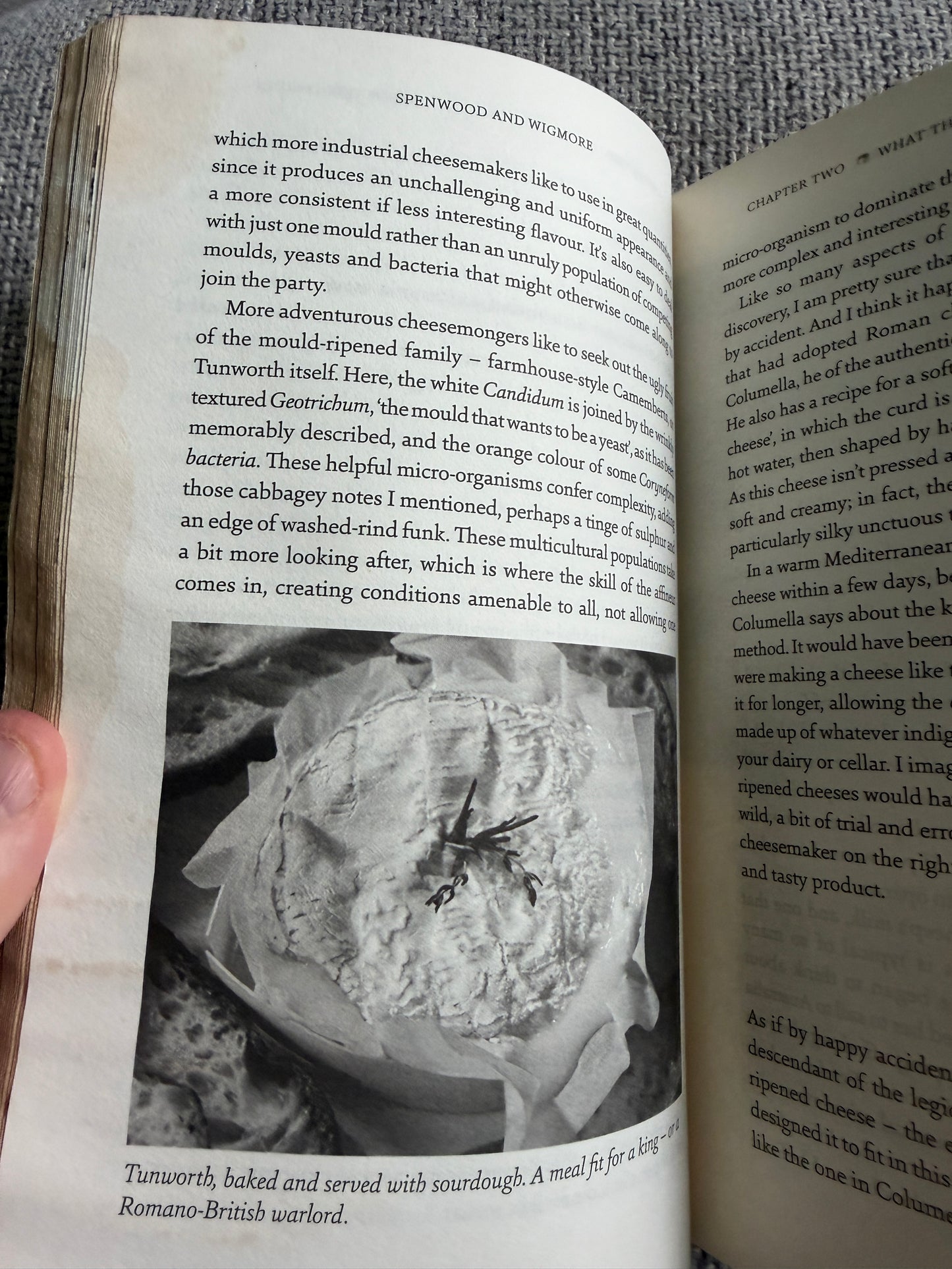 2019*1st* A Cheese Monger’s History Of The British Isles - Ned Palmer (Profile Books)