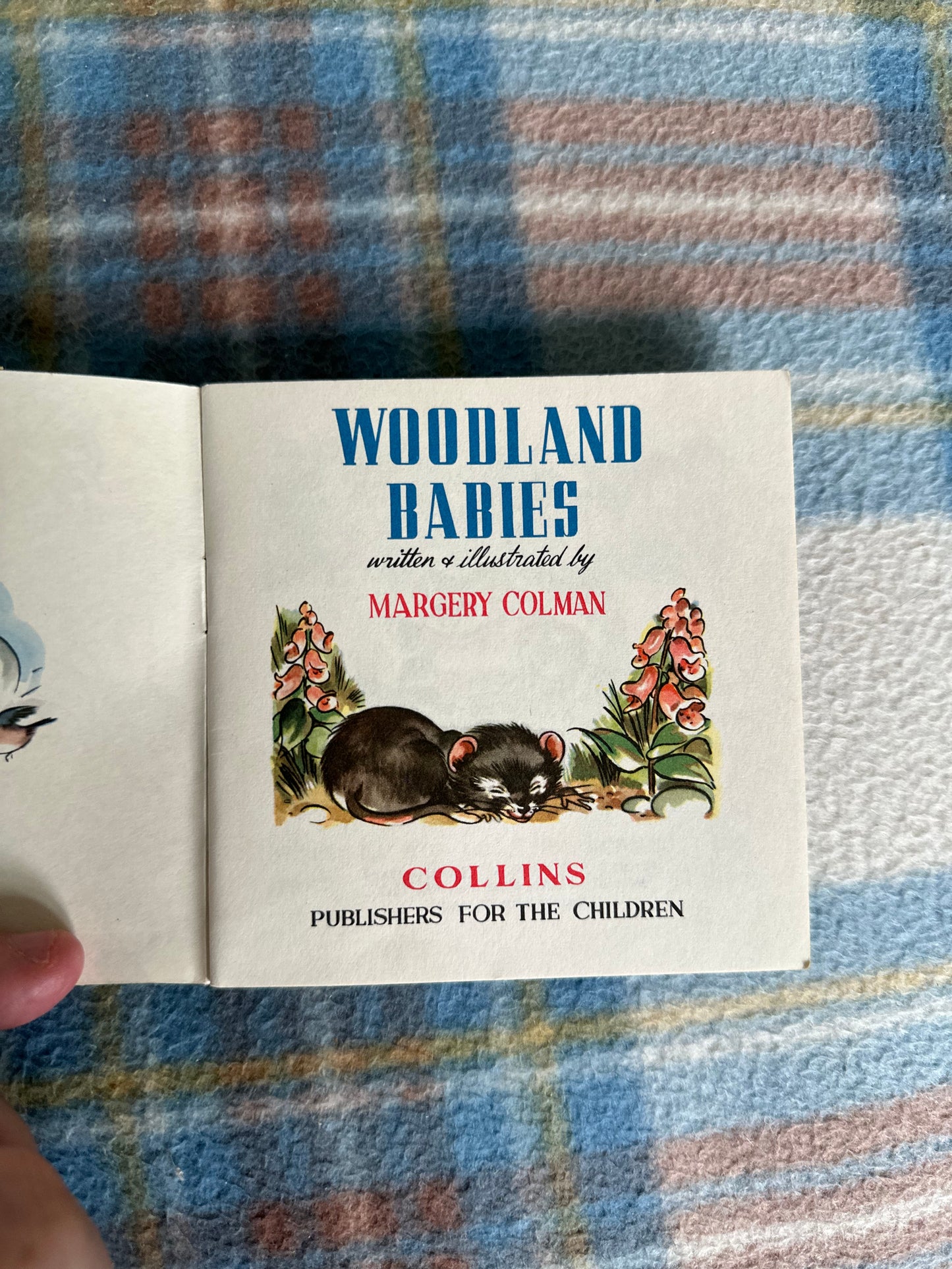 1950 Woodland Babies(A Pixie Book) Margery Colman(Collins)
