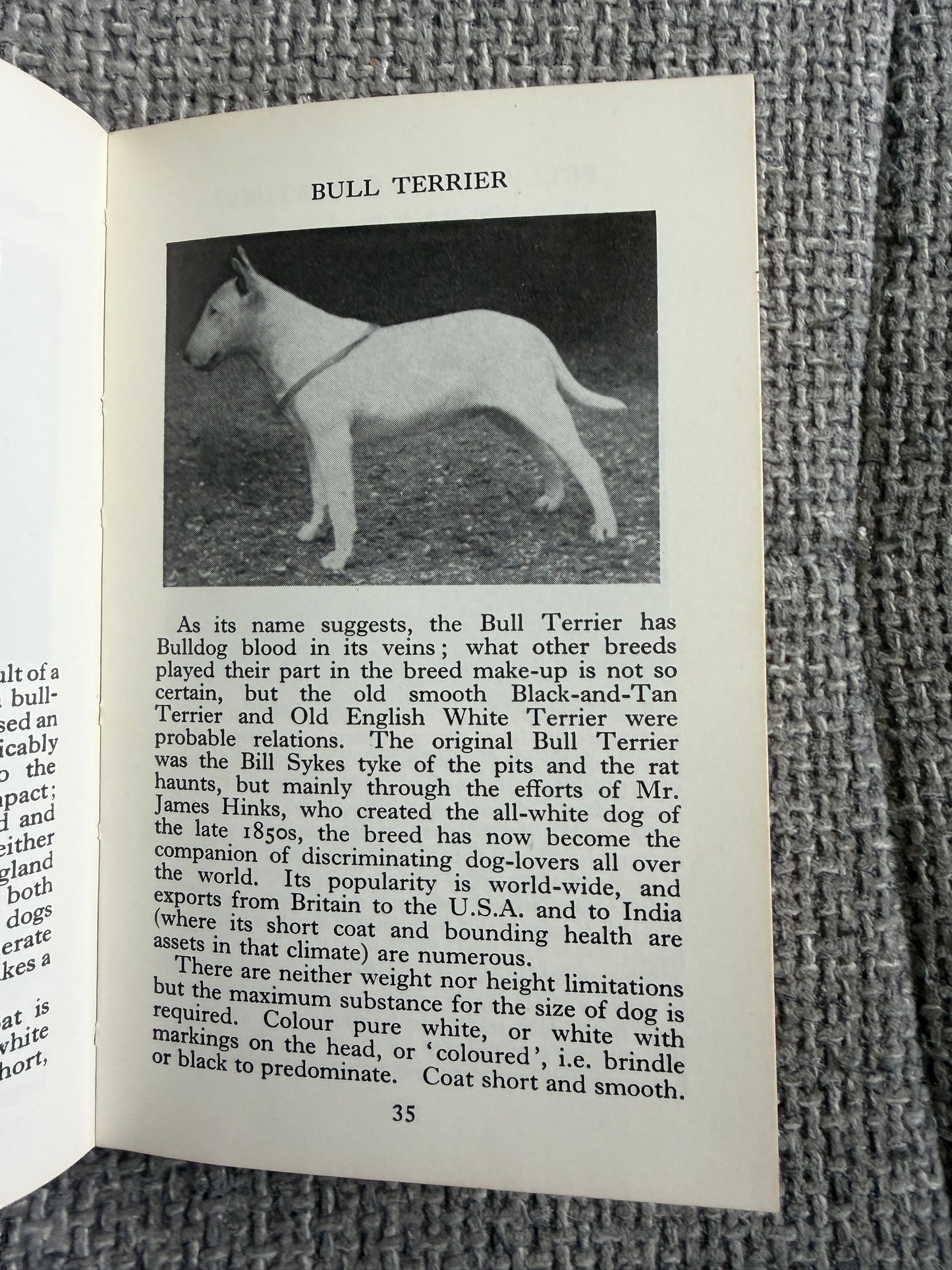 1969 The Observer’s Book Of Dogs - S. M. Lampson (Frederick Warne & Co Ltd)