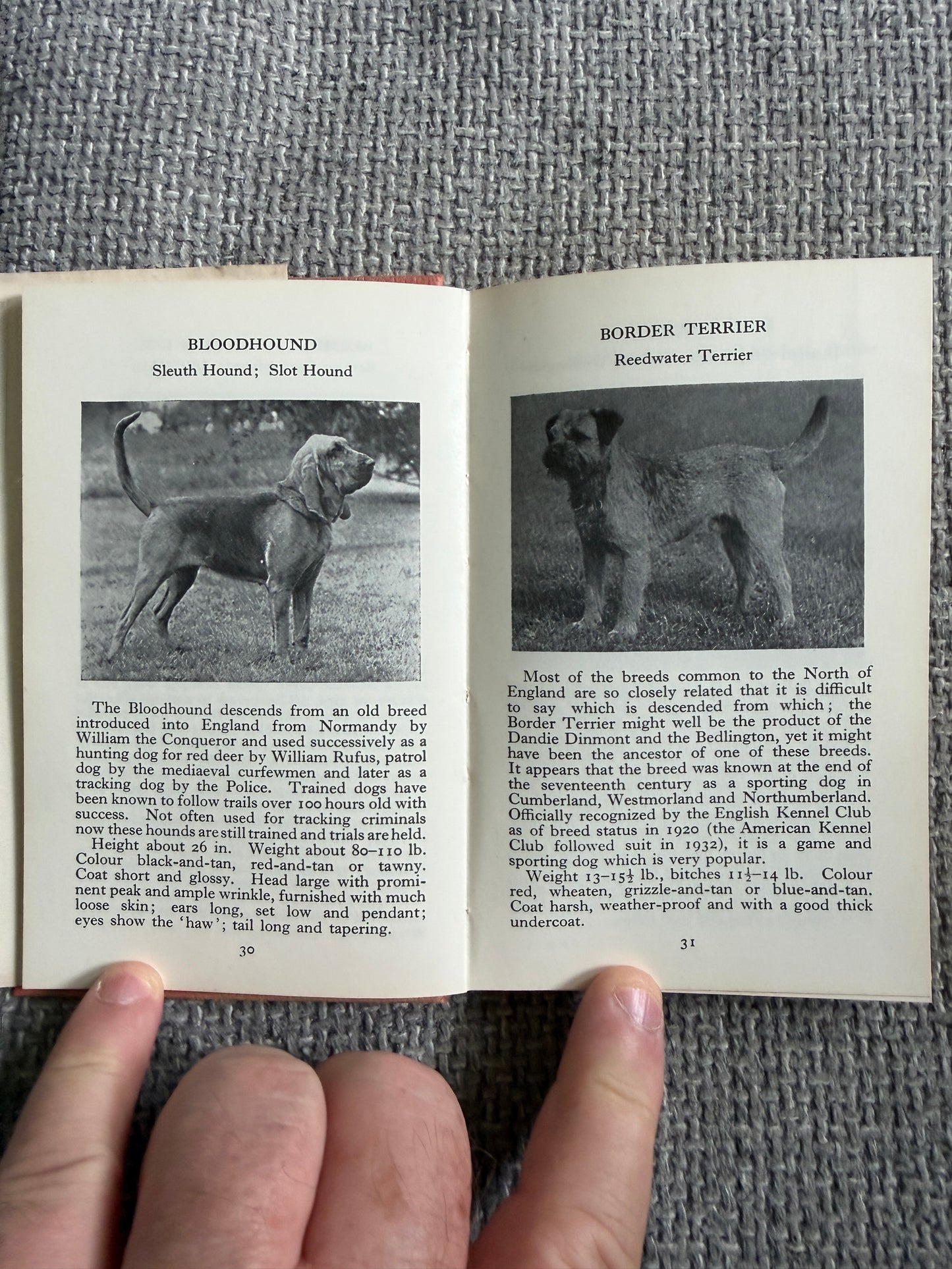 1969 The Observer’s Book Of Dogs - S. M. Lampson (Frederick Warne & Co Ltd)