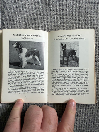 1969 The Observer’s Book Of Dogs - S. M. Lampson (Frederick Warne & Co Ltd)