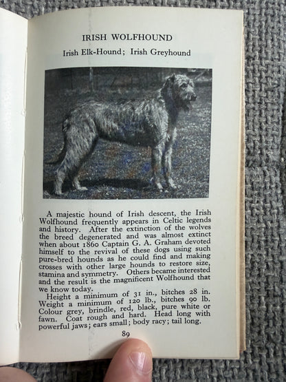 1969 The Observer’s Book Of Dogs - S. M. Lampson (Frederick Warne & Co Ltd)