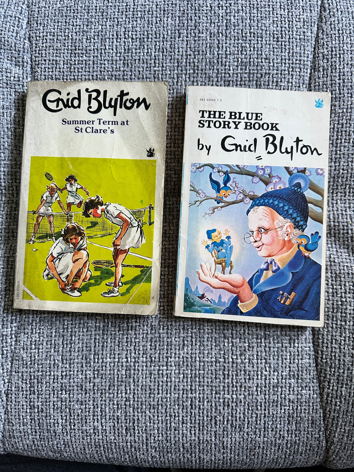 1970’s 2 x Enid Blyton Paperbacks(Summer Term At St.Clare’s & The Blue Story Book)Granada Publishing Dragon Books)