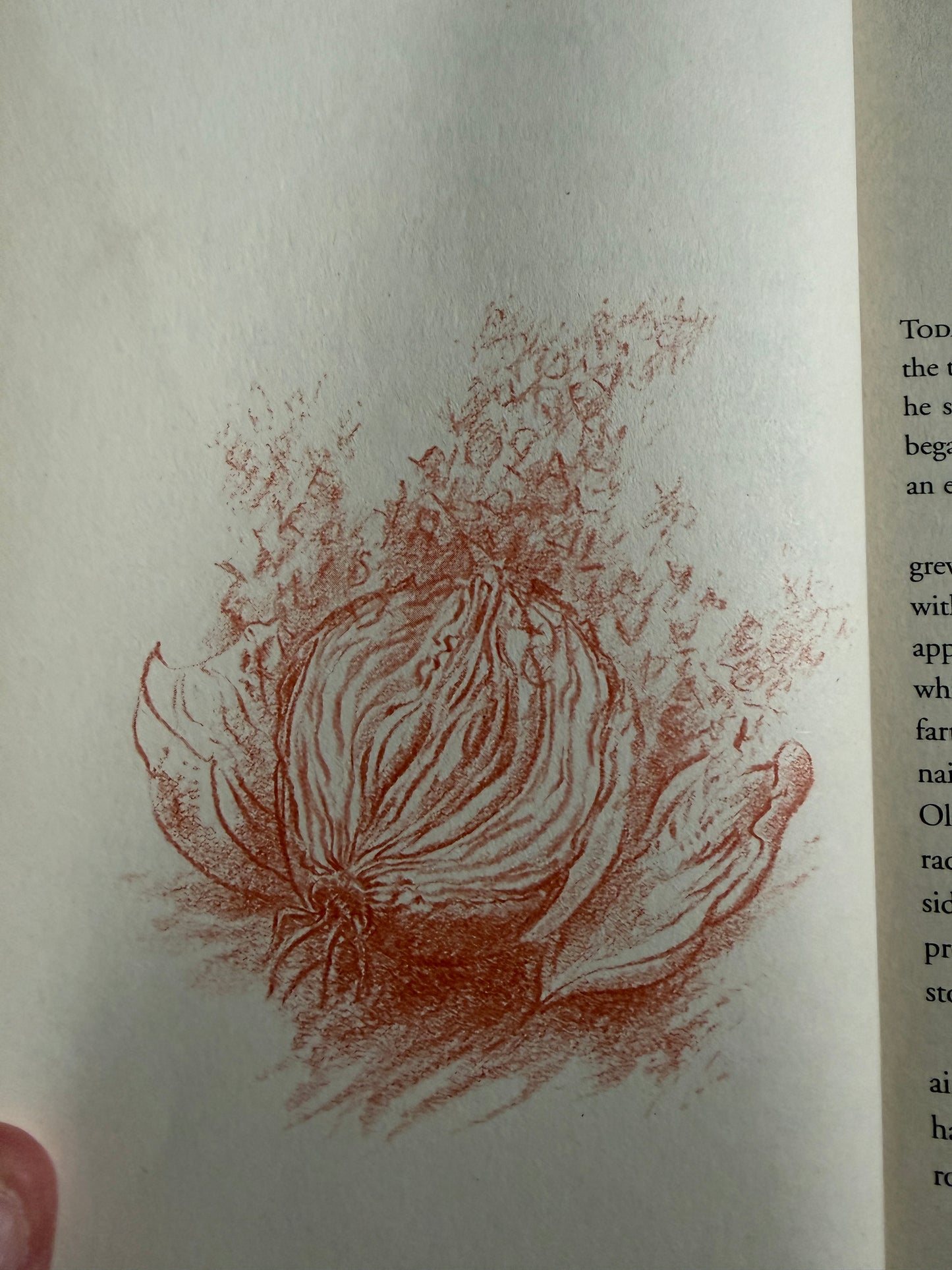 2008 Peeling The Onion - Günter Grass (Translated From German Michael Henry Heim) Vintage Books