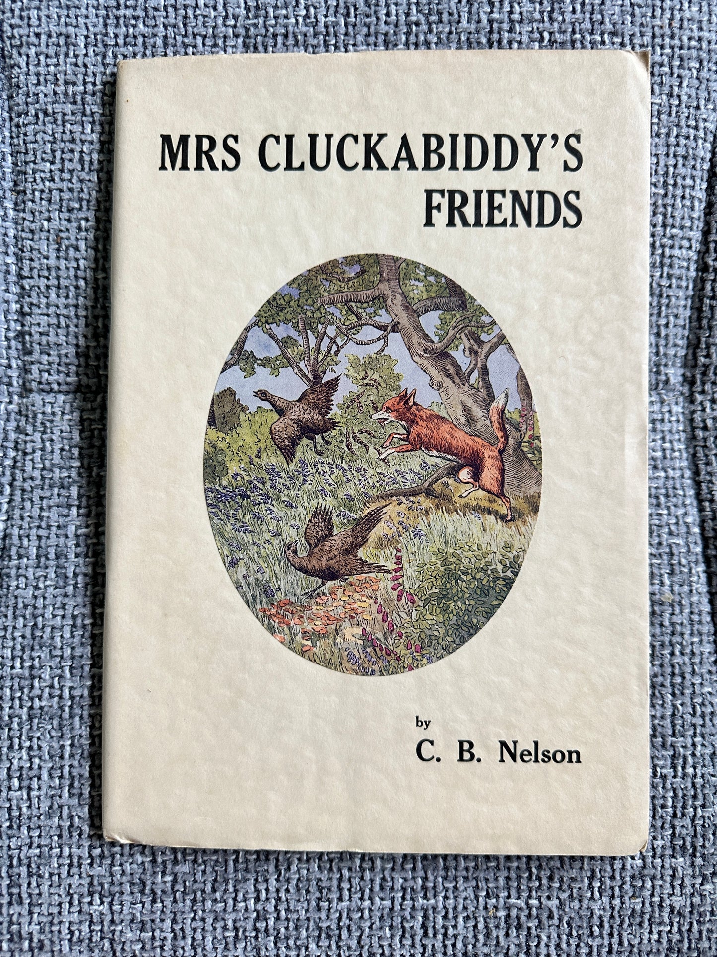 1935 Church Mice & Mrs Cluckabiddy’s Friends - C. B. Nelson(Figurehead) in Slipcase