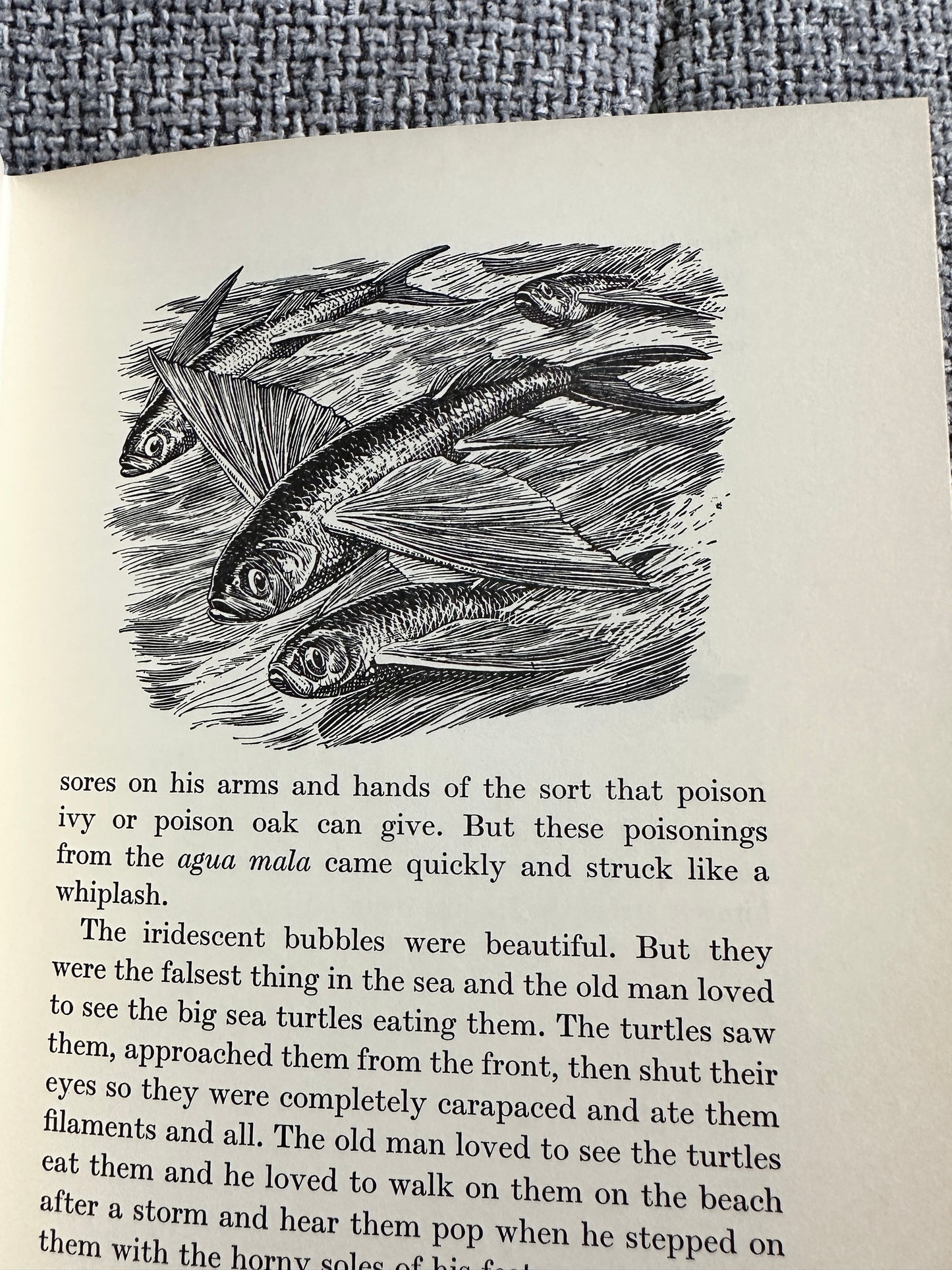 1968 The Old Man & The Sea - Ernest Hemingway (Book Club Special Edition)(Illustration C. F. Tunnicliffe & Raymond Sheppard)