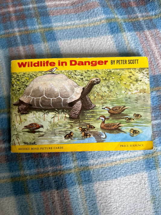 1960’s Wildlife In Danger - Peter Scott(Brooke Bond Teacards full set)