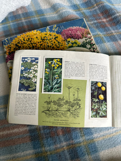 2x Wild Flowers Brook Bond Tea Cards illustration by C.F. Tunnicliffe