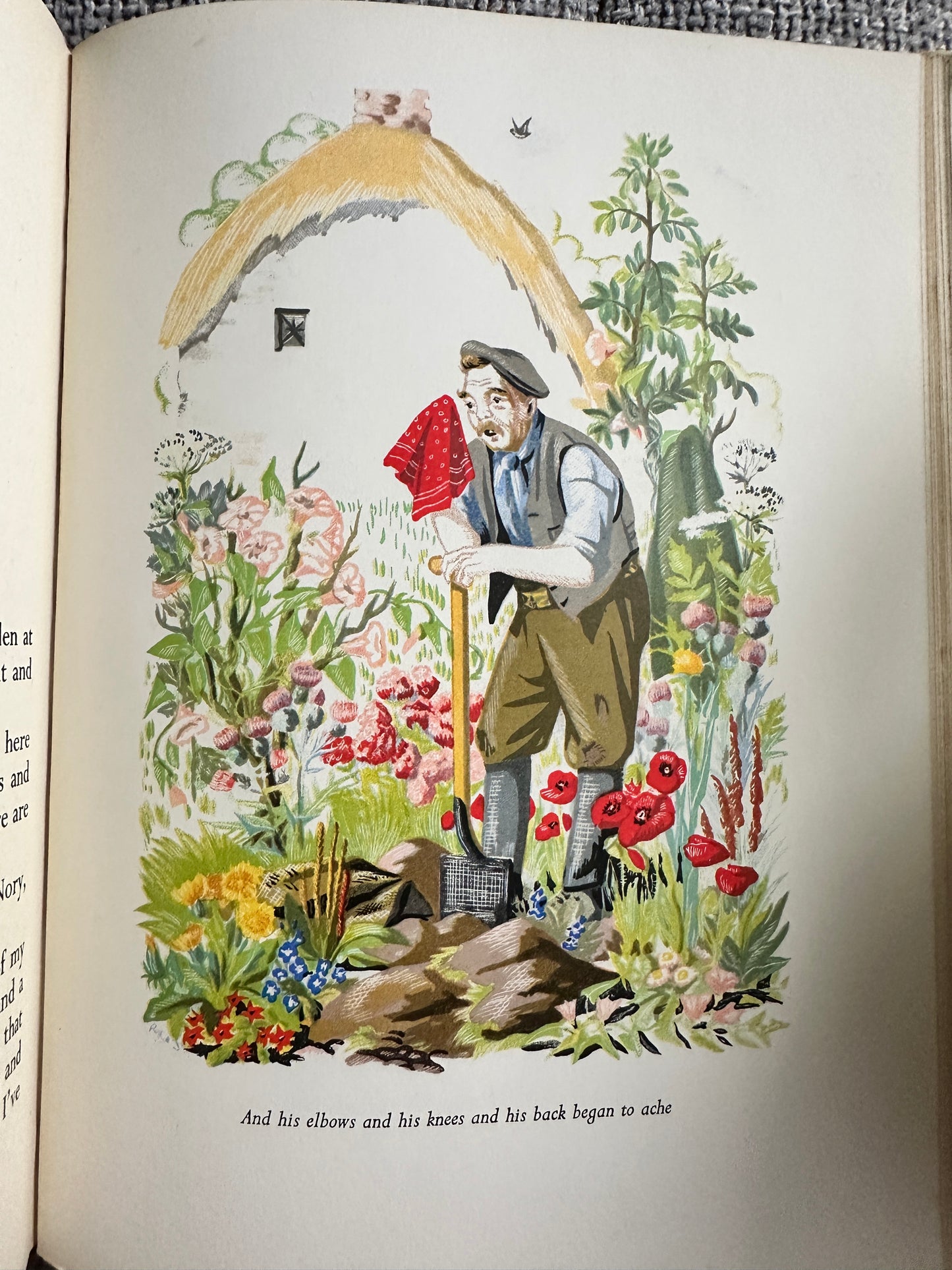 1943 Cockle Button, Cockle Ben - Richard Phibbs(Gladys M. Rees Illust) Robert Hale Ltd