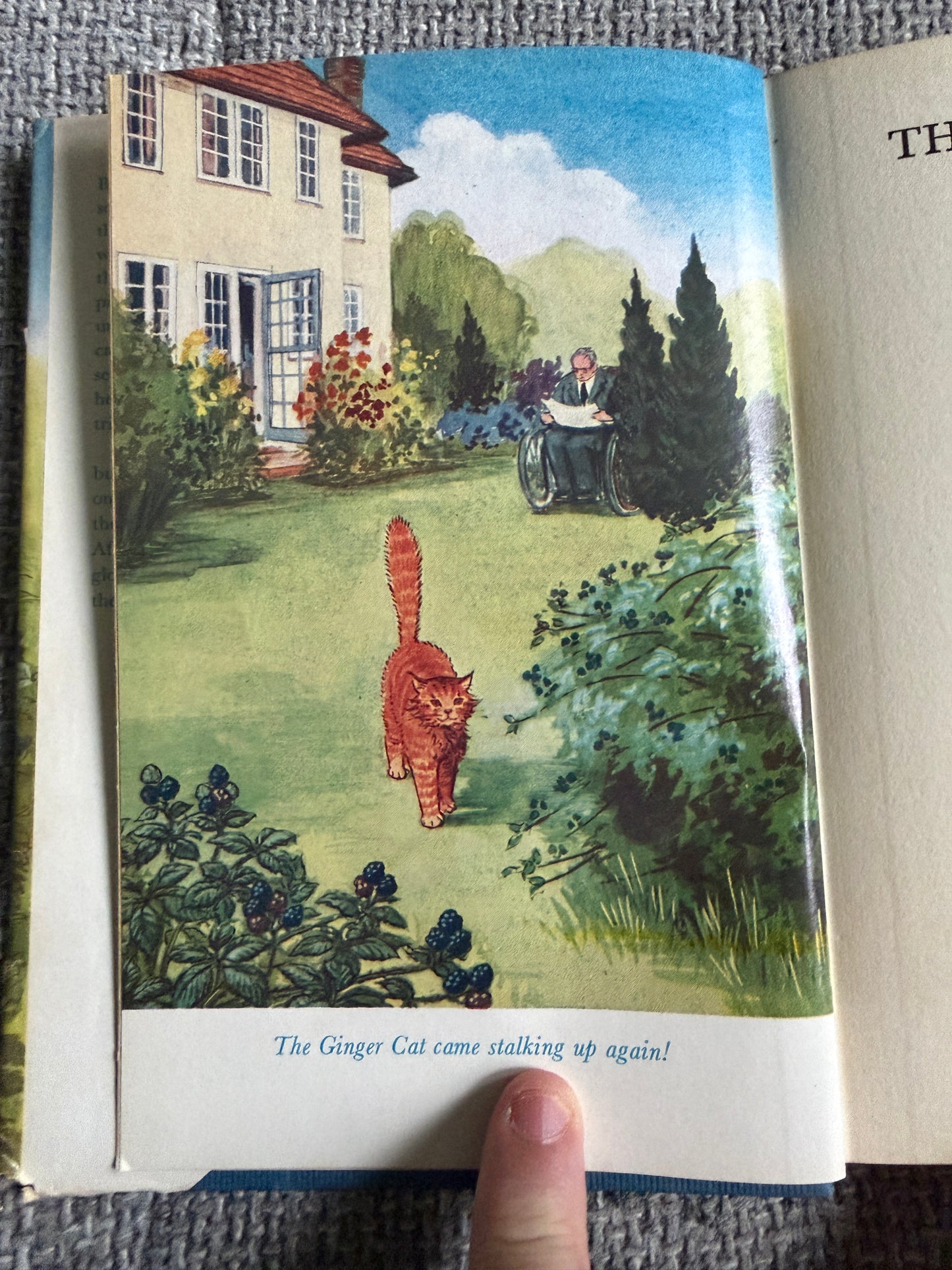 1964*1st* The Hidey Hole - Enid Blyton (Daphne Rowles illust) Lutterworth Press - Honeyburn Books (UK)