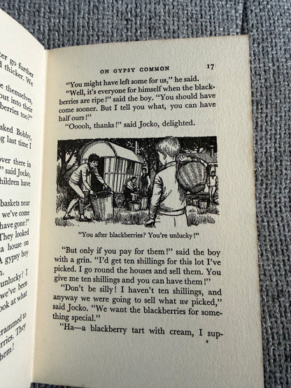 1964*1st* The Hidey Hole - Enid Blyton (Daphne Rowles illust) Lutterworth Press - Honeyburn Books (UK)