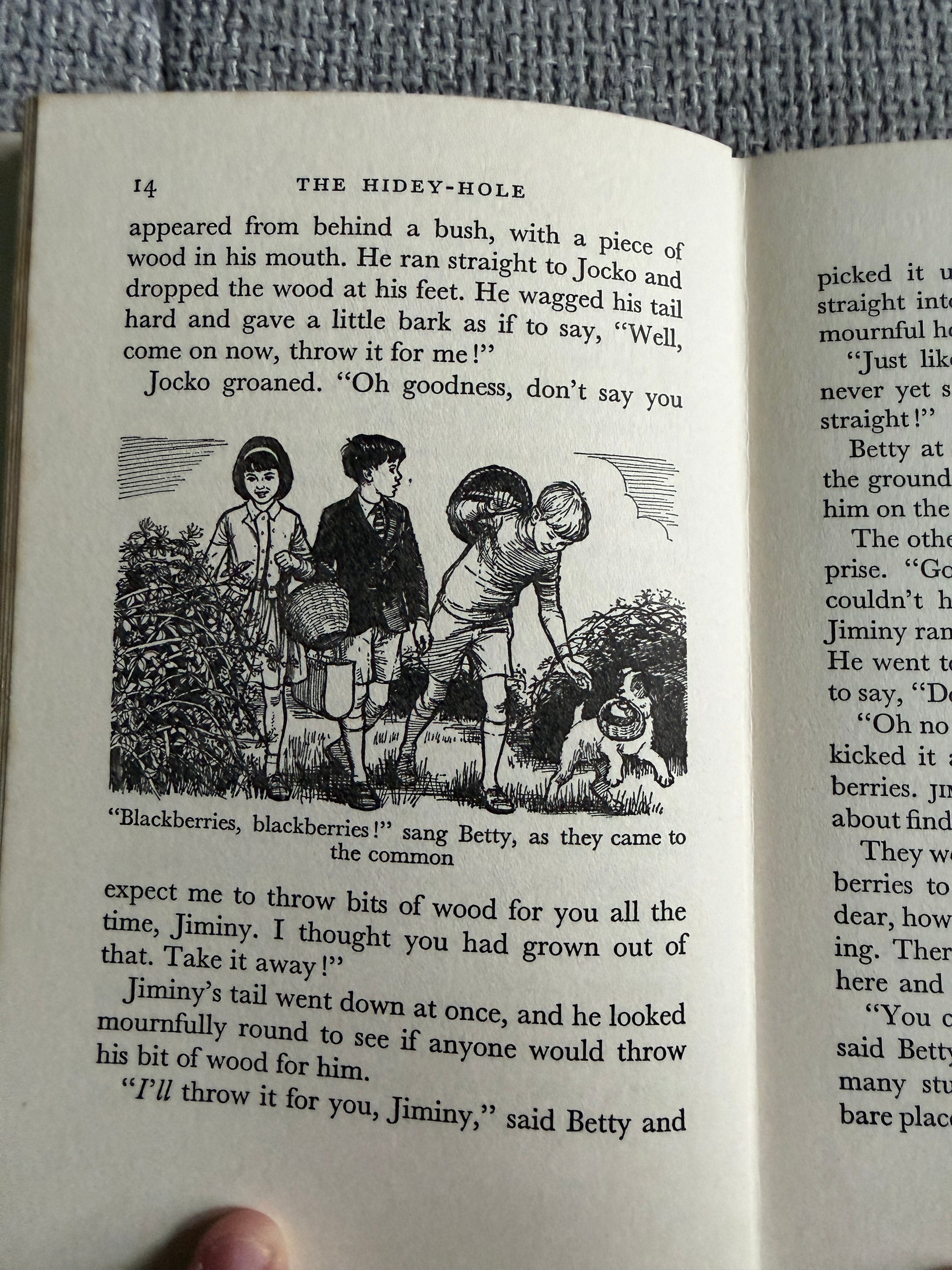 1964*1st* The Hidey Hole - Enid Blyton (Daphne Rowles illust) Lutterworth Press - Honeyburn Books (UK)