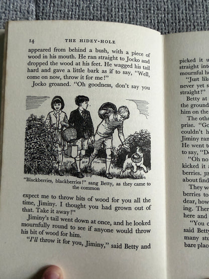 1964*1st* The Hidey Hole - Enid Blyton (Daphne Rowles illust) Lutterworth Press - Honeyburn Books (UK)