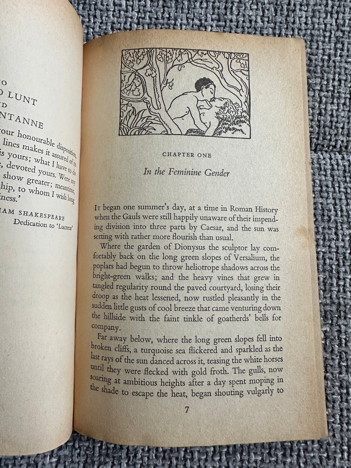 1960*1st* Cage Me A Peacock - Noel Langley (Penguin Books)