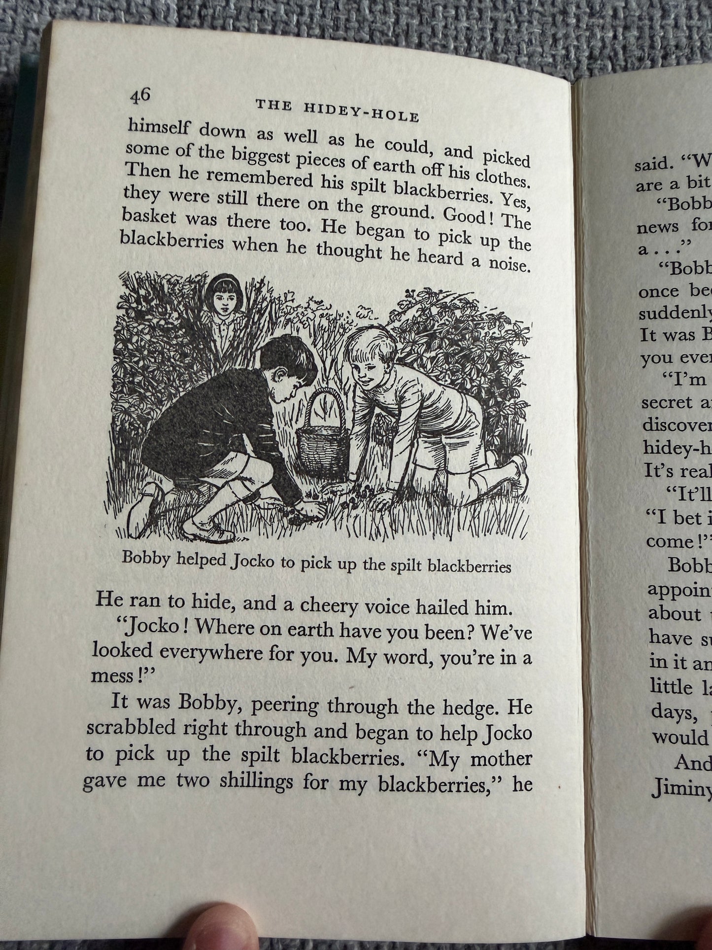 1964*1st* The Hidey Hole - Enid Blyton (Daphne Rowles illust) Lutterworth Press - Honeyburn Books (UK)