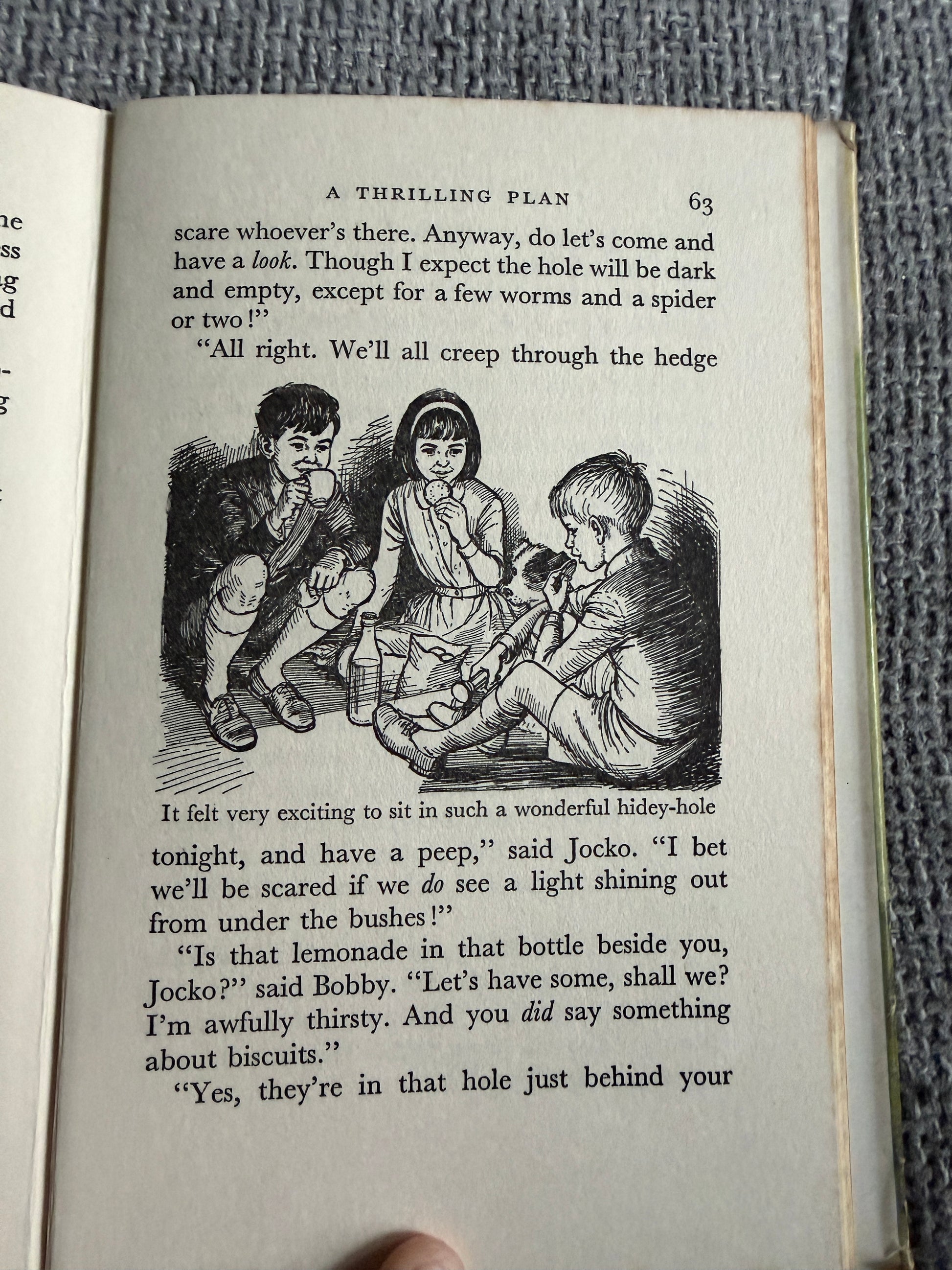 1964*1st* The Hidey Hole - Enid Blyton (Daphne Rowles illust) Lutterworth Press - Honeyburn Books (UK)