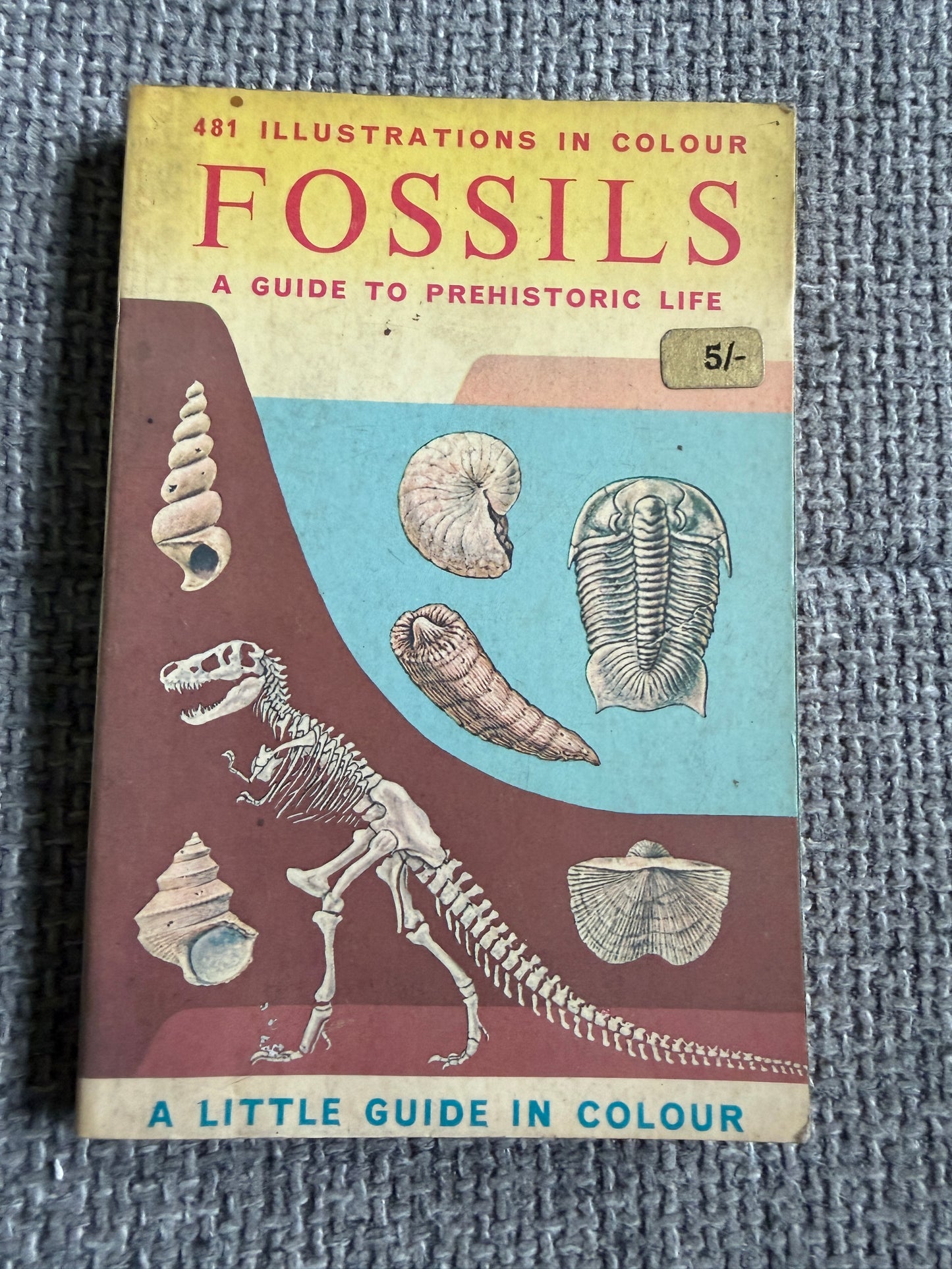 1967 Fossils A Guide To Prehistoric Life - Frank T. H. Rhodes, Herbert S. Zim & Paul R. Shaffer (Raymond Perlman illustration) Paul Hamlyn