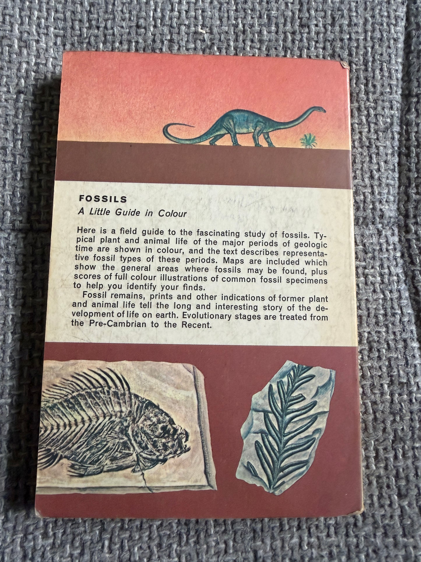 1967 Fossils A Guide To Prehistoric Life - Frank T. H. Rhodes, Herbert S. Zim & Paul R. Shaffer (Raymond Perlman illustration) Paul Hamlyn