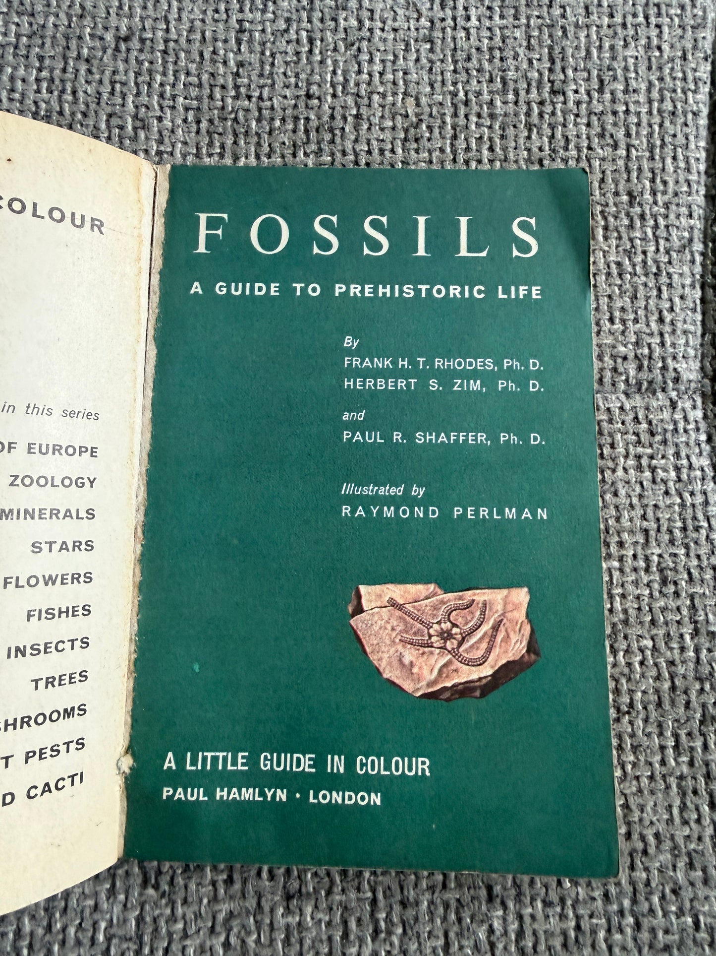 1967 Fossils A Guide To Prehistoric Life - Frank T. H. Rhodes, Herbert S. Zim & Paul R. Shaffer (Raymond Perlman illustration) Paul Hamlyn