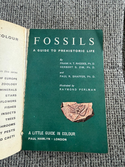 1967 Fossils A Guide To Prehistoric Life - Frank T. H. Rhodes, Herbert S. Zim & Paul R. Shaffer (Raymond Perlman illustration) Paul Hamlyn