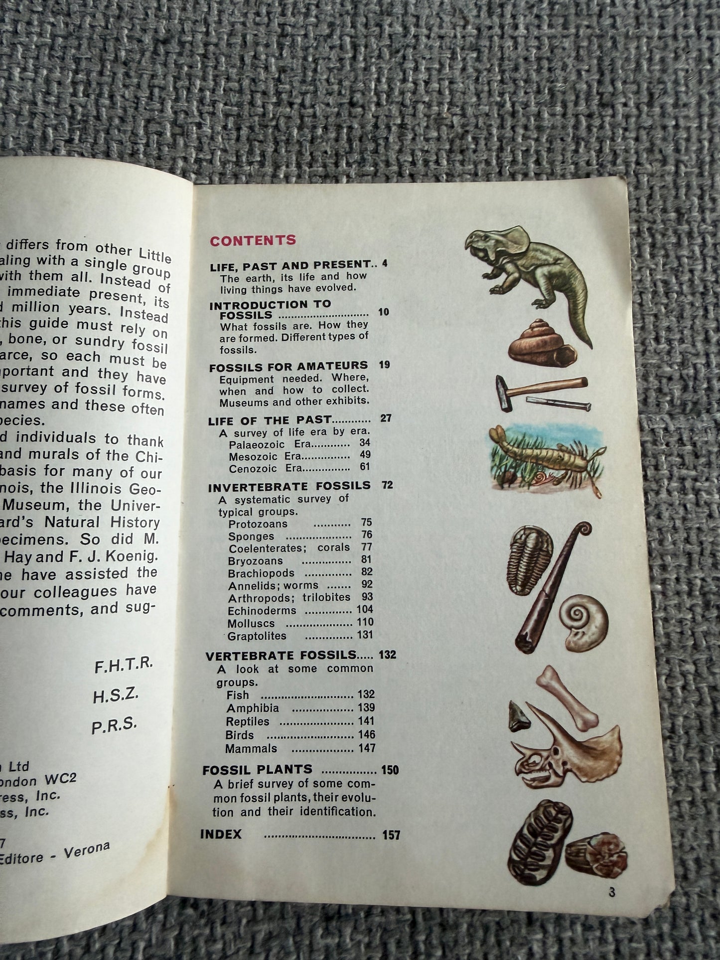1967 Fossils A Guide To Prehistoric Life - Frank T. H. Rhodes, Herbert S. Zim & Paul R. Shaffer (Raymond Perlman illustration) Paul Hamlyn