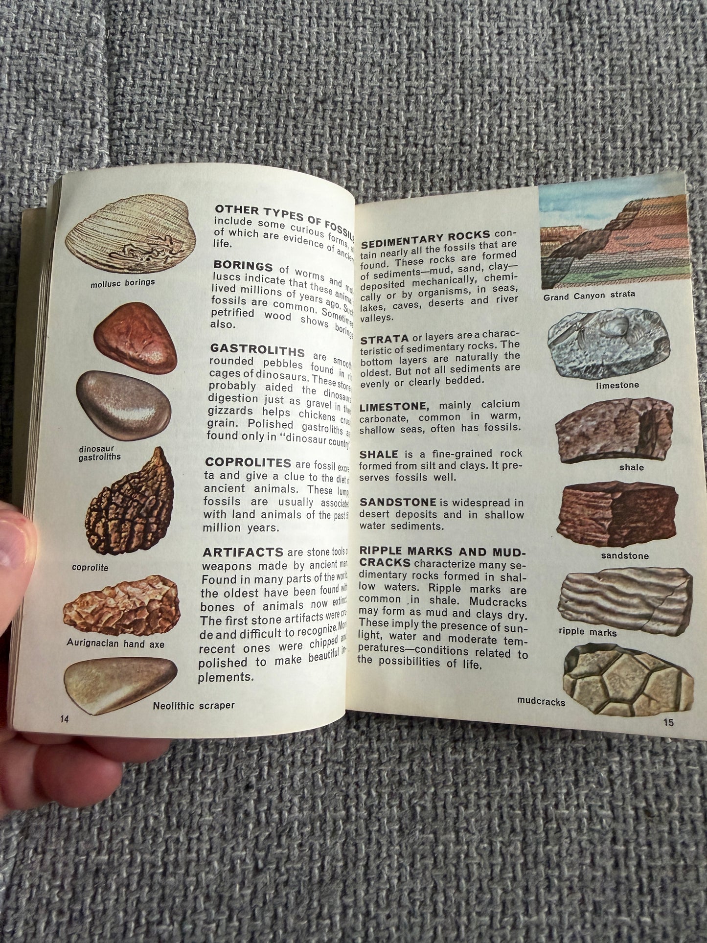 1967 Fossils A Guide To Prehistoric Life - Frank T. H. Rhodes, Herbert S. Zim & Paul R. Shaffer (Raymond Perlman illustration) Paul Hamlyn