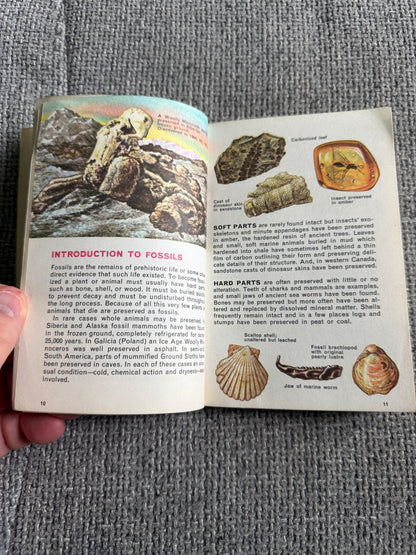 1967 Fossils A Guide To Prehistoric Life - Frank T. H. Rhodes, Herbert S. Zim & Paul R. Shaffer (Raymond Perlman illustration) Paul Hamlyn